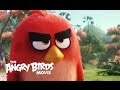 Angry Birds teaser has angry birds, but no slingshots or pig murders