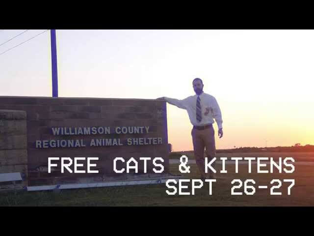 Remember the Winnebago Man video? Here’s that, but with kittens