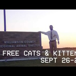 Remember the Winnebago Man video? Here’s that, but with kittens