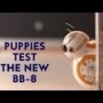 It’s puppies versus droids in this Force Friday clip