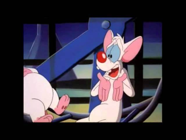 On its 20th anniversary, everything worth pondering from Pinky And The Brain