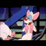 On its 20th anniversary, everything worth pondering from Pinky And The Brain