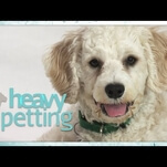 John Mulaney voices an adorable, adoptable puppy in Heavy Petting