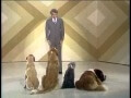 In 1976, Steve Martin performed stand-up for an audience of dogs