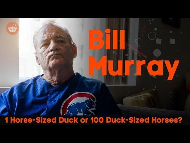 Bill Murray thoughtfully tackles Reddit’s horse-sized duck vs. 100 duck-sized horses query