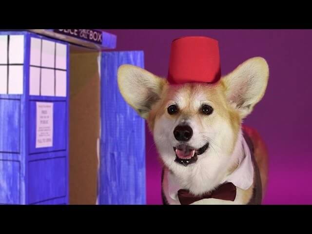 Here’s a corgi dressed as every version of The Doctor