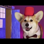 Here’s a corgi dressed as every version of The Doctor