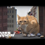 The first video from Meow The Jewels is exactly as ridiculous as you’d hope