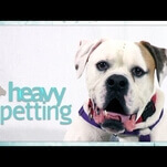 Nick Offerman voices Kiki, an American bulldog, in the latest edition of Heavy Petting