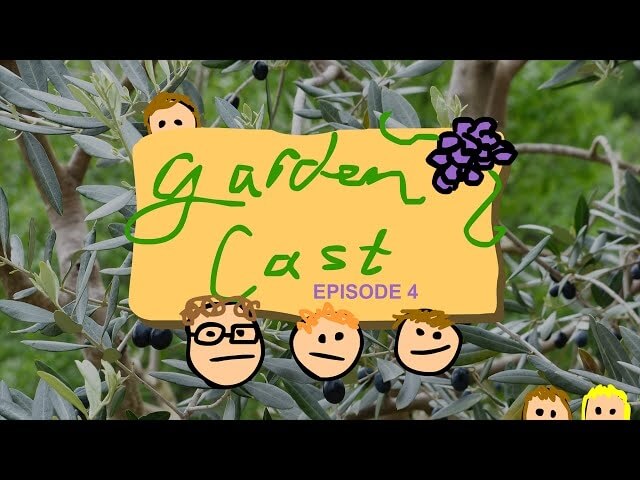 A never-ending review of a commercial for Olive Garden’s never-ending pasta