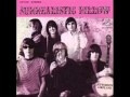 R.I.P. Paul Kantner, founding member and guitarist of Jefferson Airplane