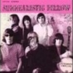 R.I.P. Paul Kantner, founding member and guitarist of Jefferson Airplane