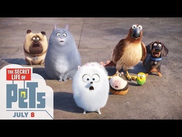 The Secret Life Of Pets trailer confirms they like to drink from the toilet