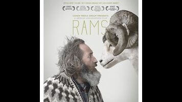 The funny and affecting Rams strikes a rare blow for Icelandic cinema