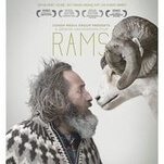 The funny and affecting Rams strikes a rare blow for Icelandic cinema