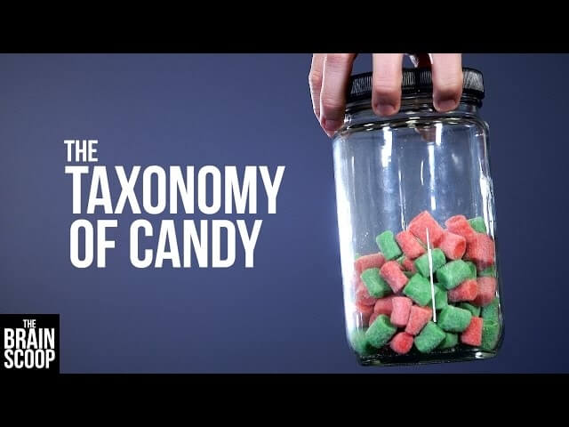 Even sweet, delicious candy can’t escape the steely gaze of science