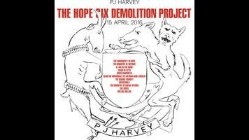 PJ Harvey travels the world on the eclectic Hope Six Demolition Project