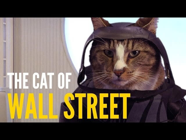 What if the juiciest roles in movie history had been played by a bored cat?