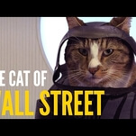 What if the juiciest roles in movie history had been played by a bored cat?