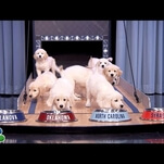 March Madness, Jimmy Fallon made tolerable by adorable puppies