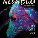 The Brazilian rodeo drama Neon Bull gets by on style and sharp detail