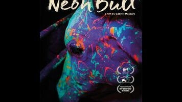 The Brazilian rodeo drama Neon Bull gets by on style and sharp detail