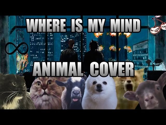 Animals bark, growl, and howl their way through the cutest Pixies cover ever