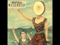 How did the Neutral Milk Hotel legend get so out of hand?