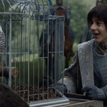 Does that handsome falcon on Game Of Thrones remind you of anyone?