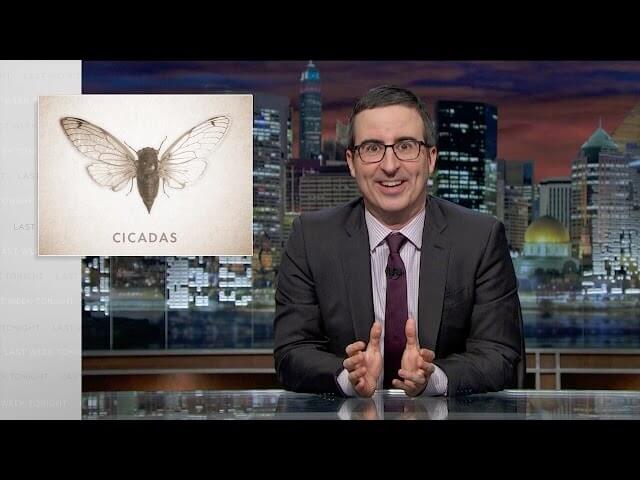 John Oliver helpfully gets cicadas up to speed on politics and pop culture