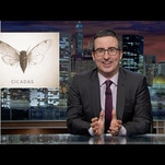 John Oliver helpfully gets cicadas up to speed on politics and pop culture