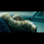 Filmmaker sues Beyoncé for allegedly copying his work in the Lemonade trailer