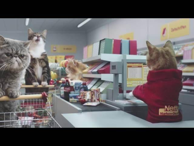 YouTube cats be shoppin’ in this European supermarket ad