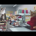 YouTube cats be shoppin’ in this European supermarket ad