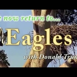 Trump reveres and fears eagles in this nature mockumentary