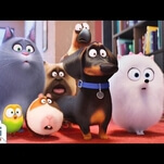 Chicago, see The Secret Life Of Pets early and for free