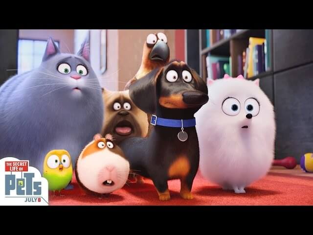 Chicago, see The Secret Life Of Pets early and for free