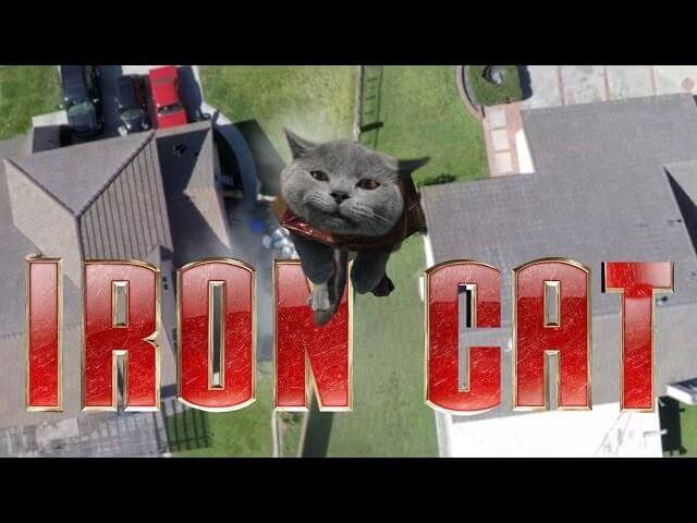 In Iron Cat 2, a super-suited feline warrior must save his own kind