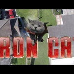 In Iron Cat 2, a super-suited feline warrior must save his own kind