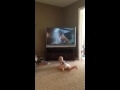 Rocky Balboa can inspire even the littlest among us