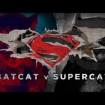 Batman V Superman would be less depressing with cats in the lead roles