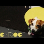 This frisky pup makes a masterful Pac-Man