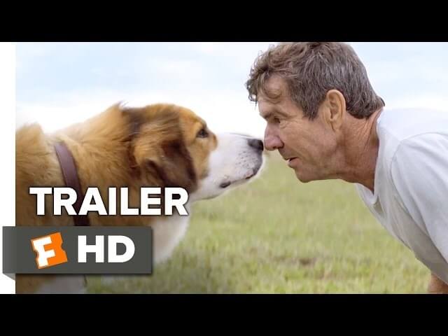 The trailer for A Dog’s Purpose gets real heavy, real fast