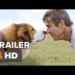 The trailer for A Dog’s Purpose gets real heavy, real fast