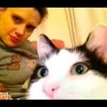 This video proves Kate McKinnon loves to chitty-chat about her kitty cat