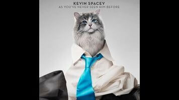 Kevin Spacey coughs up the kiddie-flick hairball Nine Lives