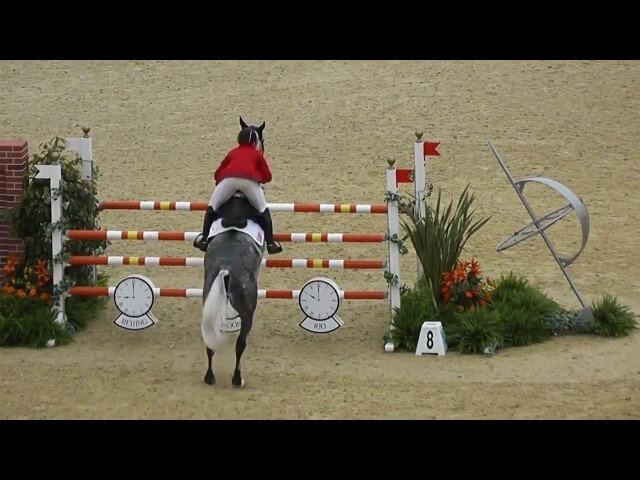 Horses fly business class to compete at the Olympic Games in Rio