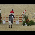 Horses fly business class to compete at the Olympic Games in Rio