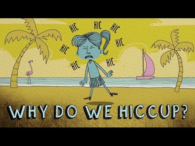 An animated short delves into the annoying mystery of why people hiccup