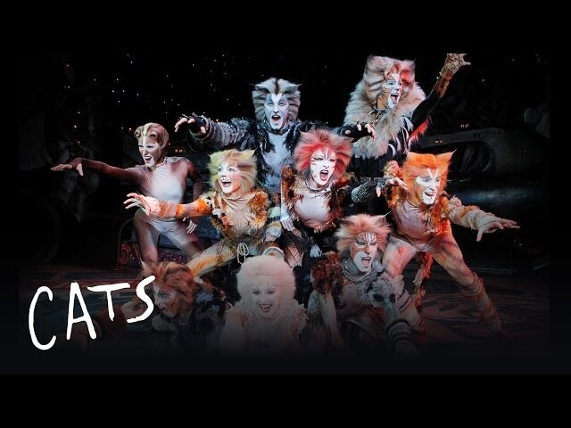 Grumpy Cat is joining the cast of Cats for one night only